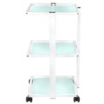 202 Basis-Kosmetikstuhl + 1040 Kosmetiktisch + S5 Led-Vergrößerungslampe 8