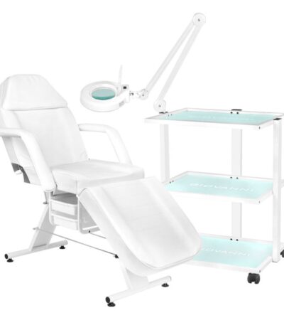 202 Basic cosmetic chair + 1040 Cosmetic table + S5 Led magnifying lamp