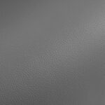 Friseurstuhl Burgos Gold Grau 5