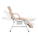 Basic cosmetic chair 202 With trays