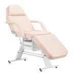 Basic cosmetic chair 202 With trays