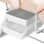 Basic cosmetic chair 202 With trays