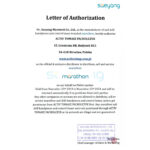 Saeyang Marathon Combi 24 Silber Nagelbohrmaschine 6